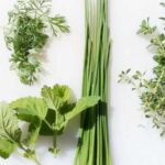 7 видів корисної зелені! – вирощуйте ліки на грядках та підвіконні