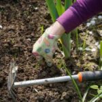 Яким чином роботи у саду та городі впливають на здоров’я людей
