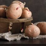 Токсикологи попередили, чому не можна їсти пророслу картоплю