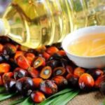 Чи дійсно пальмова олія є шкідливою для здоров’я: спростовуємо 5 головних міфів