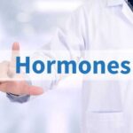 Як перехитрити гормони, через які ми набираємо зайву вагу