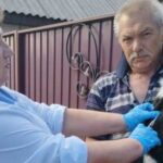 Котів та собак на Кіровоградщині вакцинують безкоштовно (ФОТО)