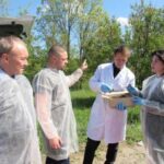 На Кіровоградщині 19 тисяч квадратних кілометрів охоплять пероральною імунізацією диких…