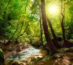 Де протікають річки-малютки?