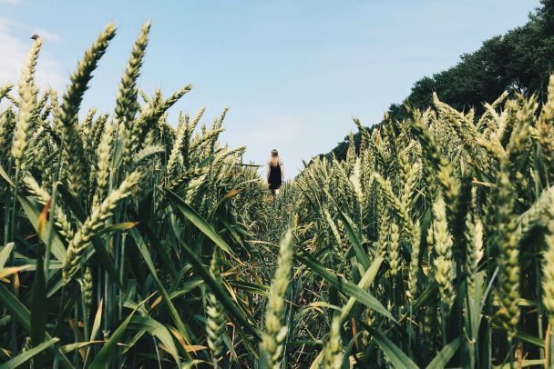 Сучасні вірші про Україну / © Unsplash