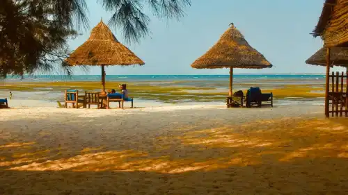 Секрети стрункості та радості, які я відкрила, і про які варто знати…