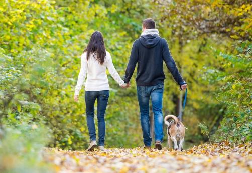 Одна довга прогулянка виявилася кориснішою за кілька коротких: висновки вчених