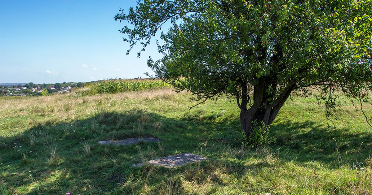 Фото до статті