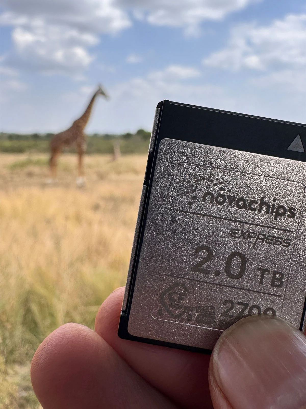 Рука тримає карту пам'яті Novachips Express об'ємом 2.0 ТБ на передньому плані, на задньому плані — розмитий жирафа, що стоїть на трав'янистому полі.