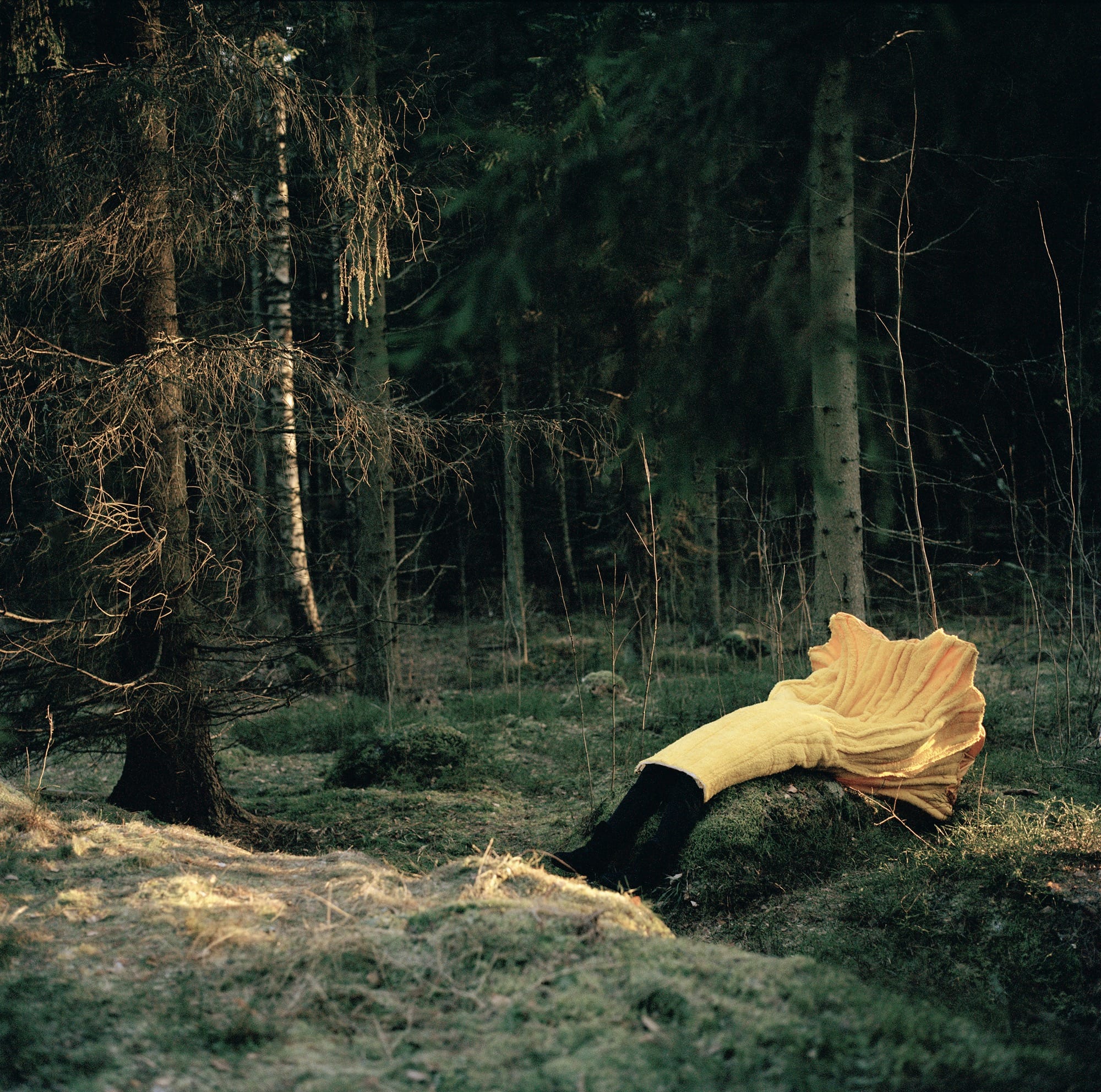 a photo of a person wearing a yellow mushroom costume in a forest