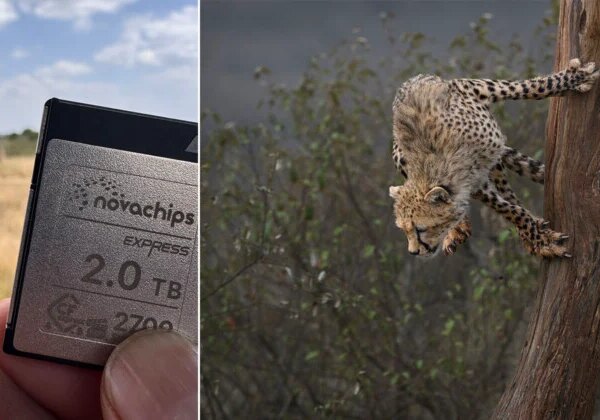Фотограф-натураліст Аміш Чаган обирає карти пам’яті Novachips