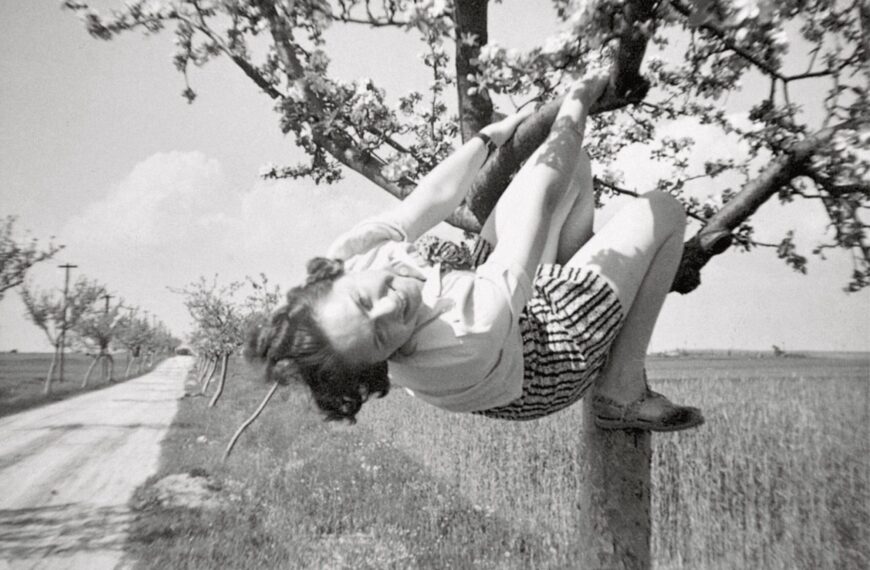 Жіночий погляд на дерева: колекція анонімних фотографій