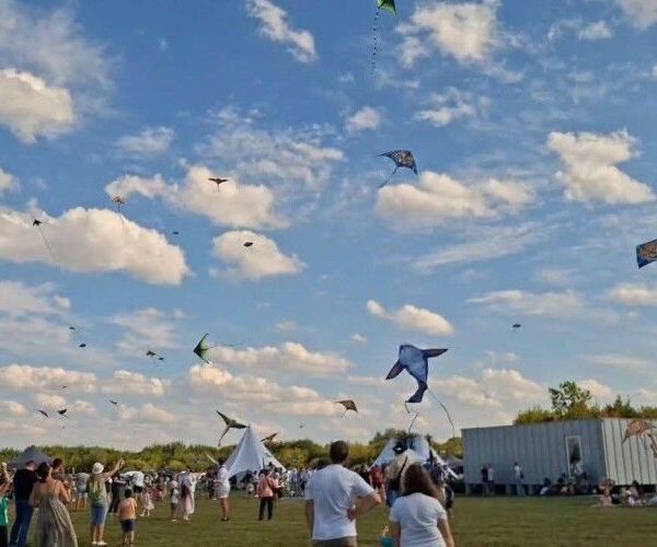 Змії замість дронів: несподівана знахідка на Волині