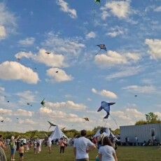 На Волині літали не дрони, а... змії