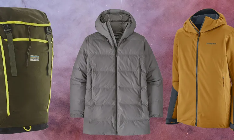 Спорядження Patagonia на розпродажі в REI