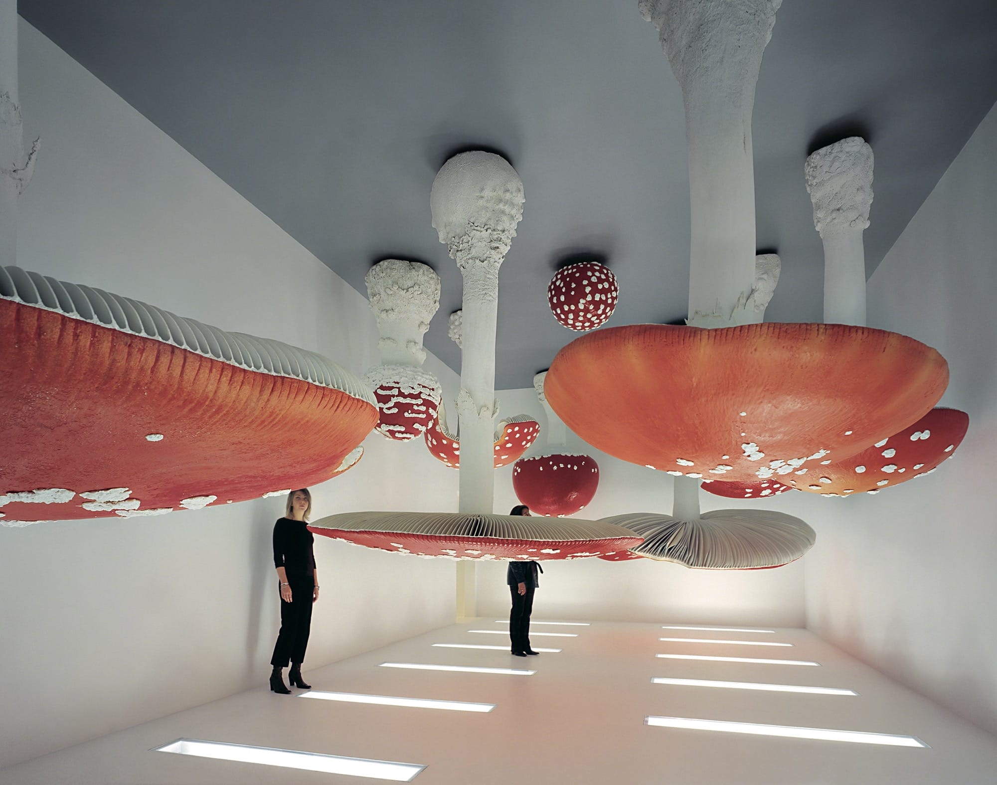 people stand in a gallery with large red-topped mushrooms sprouting from the ceilign