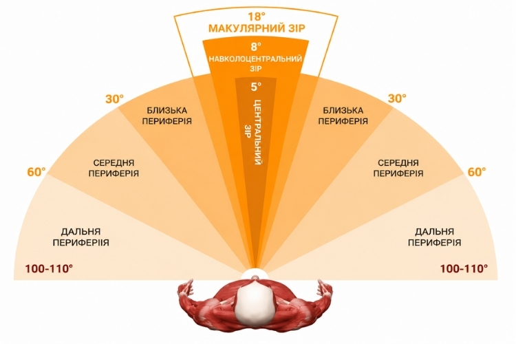 периферичний зір